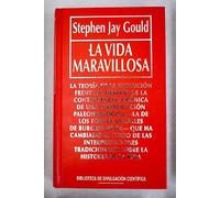 La vida maravillosa