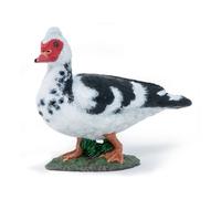 La Vie A La Ferme Canard De Barbarie