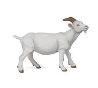 LA VIE A LA FERME Chèvre blanche