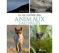La Vie Cachée Des Animaux Sauvages