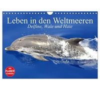 La vie dans les océans. Dauphins, baleines et requins, Version française (Calendrier mural 2026 DIN A4 portrait), Calendrier CALVENDO mensuel