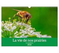 La vie de nos prairie, les ombellifères (Calendrier mural 2026 DIN A3 horizontal), CALVENDO calendrier mensuel