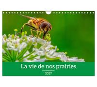 La vie de nos prairie, les ombellifères (Calendrier mural 2027 DIN A4 vertical), CALVENDO calendrier mensuel: La vie secrète des ombellifères