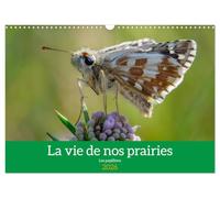 La vie de nos prairie, les papillons (Calendrier mural 2026 DIN A3 horizontal), CALVENDO calendrier mensuel