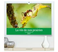 La vie de nos prairies - Le monde des fourmis (calendrier mural haut de gamme 2027 DIN A2 vertical), CALVENDO calendrier mensuel