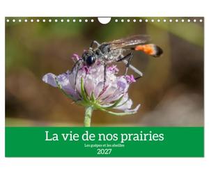 La vie de nos prairies - Les guêpes et les abeilles (Calendrier mural 2027 DIN A4 vertical), CALVENDO calendrier mensuel: La vie intime de nos prairies. À la rencontre des guêpes et abeilles