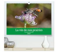 La vie de nos prairies - Les guêpes et les abeilles (Calendrier mural haut de gamme 2027 DIN A2 vertical), CALVENDO calendrier mensuel: La vie intime ... À la rencontre des guêpes et abeilles