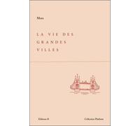 La vie des grandes villes: Chronique du succès sans triomphe, des relations à distance, dans le chaos des grandes métropoles