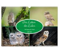 La vie des hiboux, les dames de la nuit, Version française (Calendrier mural 2026 DIN A3 portrait), Calendrier CALVENDO mensuel