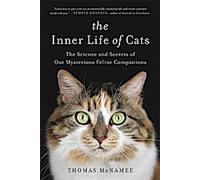 La vie intérieure des chats
