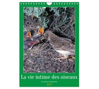 La vie intime des oiseaux Les oiseaux et leurs petits (Calendrier mural 2027 DIN A4 horizontal), CALVENDO calendrier mensuel: Rencontre avec les oiseaux de nos contrées