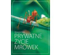 La vie privée des fourmis