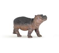 La Vie Sauvage Bébé Hippopotame