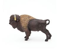LA VIE SAUVAGE Bison d'Amérique