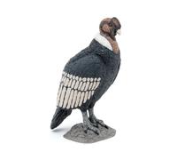 La Vie Sauvage Condor