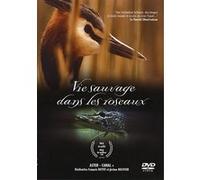 La vie sauvage dans les roseaux E