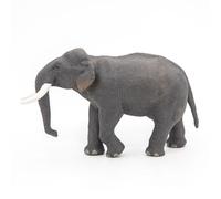 LA VIE SAUVAGE Eléphant d'Asie