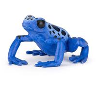 LA VIE SAUVAGE Grenouille équatoriale bleue