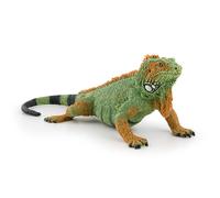 La Vie Sauvage Iguane