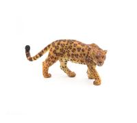 La Vie Sauvage Jaguar