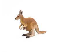 LA VIE SAUVAGE Kangourou et son bébé