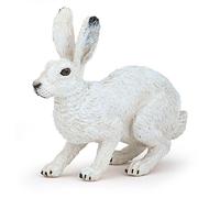 LA VIE SAUVAGE Lièvre polaire