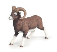 LA VIE SAUVAGE Mouflon