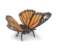 LA VIE SAUVAGE Papillon