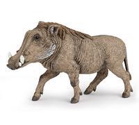 LA VIE SAUVAGE Phacochère