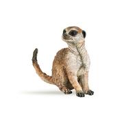 La Vie Sauvage Suricate Assis
