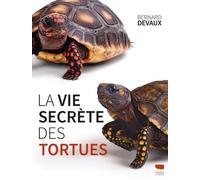 La Vie Secrète Des Tortues