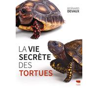 La Vie secrète des tortues - Bernard Devaux - Delachaux et niestlé - broché - Beau livre