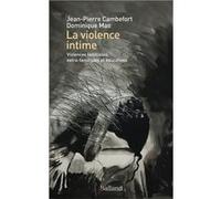 La violence intime Jean-Pierre Cambefort (Auteur)