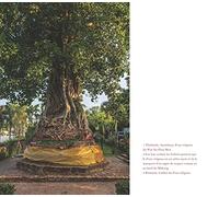 La Voie des Arbres dans le Bouddhisme: Du lotus originel aux grands ficus