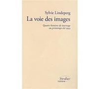 La voie des images Sylvie Lindeperg (Auteur), Jean-Louis Comolli (Auteur)