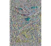 La Voz Del Conocimiento / The Voice of Knowledge, Una Guia Practica Para La Paz Interior / A Practical Guide for Inner Peace Janet Mills, Miguel Ruiz (Auteur)