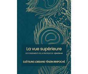 La vue supérieure: LES FONDEMENTS DE LA PRATIQUE DE VIPASSANA