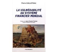La Vulnérabilité Du Système Financier Mondial