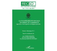 La vulnérabilité sociale en débat au Cameroun Approches et interrogations sociologiques plurielles - Collectif - L'harmattan - broché - Revue