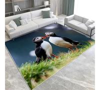 La Zone De Tour Paris Eiffel Machine Washable Area Tapis 160 X 230 Cm Soft Fluffy Non Glisser Le Pile Courte pour Le Salon Room Dining Room Office & Nursery,60 X 90 Cm