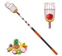 LAANPOLE 6m Cueille Fruit Telescopique, Ramasse Cerise Telescopique avec Grand Panier de Cueillette pour la Cueillette des Pommes, Oranges, Citrons, Mangues, Avocats, Goyaves