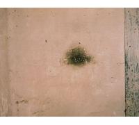 L'abbaye Royale De Fontevraud