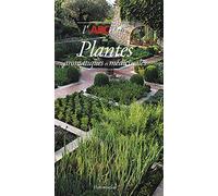 L'abcdaire Des Plantes Aromatiques Et Médicinales