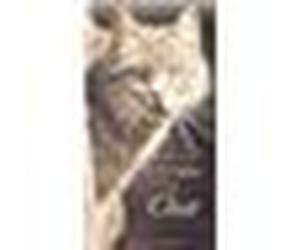 L'ABCdaire du chat - Gilles Le Pape - Flammarion - broché - Dictionnaire et encyclopédie