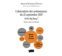 L'abécédaire des ordonnances du 22 septembre 2017: Little Big Bang ?