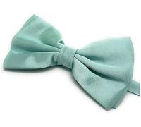 Label-Cravate Nœud papillon en satin pour homme, déjà noué, Accessoire élégant (vert d'eau)