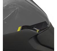 labelbike - 2 Autocollants 3D Décorations et Protections Latérales de Réservoir Moto compatibles avec BMW F900 R