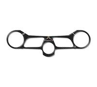 labelbike - Autocollant 3D Moto Plaque Fourche Direction Protection et Décoration en Résine Compatible avec Ducati Panigale 959 2016-19