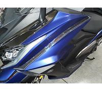 labelbike - Kit Autocollants Gel en Résine Gel 3D Bandes Avant pour Scooter Kymco AK 550