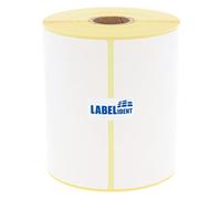 Labelident DHL Lot de 250 étiquettes d'expédition thermiques écologiques 100 x 200 mm sur 1 rouleau(s) I Cœur de 25 mm I Étiquettes d'expédition autocollantes pour imprimante thermique de bureau I